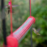 NXY's Best Hummingbird Feeder-15.7 inch Bird Feeder