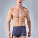 NXY Men's 2-4-Pack Cool Comfort Breathable Mesh Boxer Brief Ice Silk Shorts Underwear Black Blue Grey
